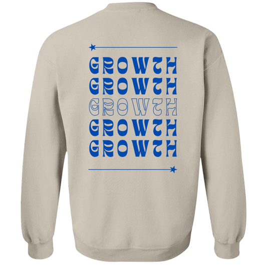 G180 Crewneck Pullover Sweatshirt - Lasocks